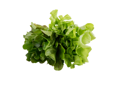 organic, zero-pesticides, non-gmo, hydroponic,oakleaf lettuce for manila delivery with price and where to buy
