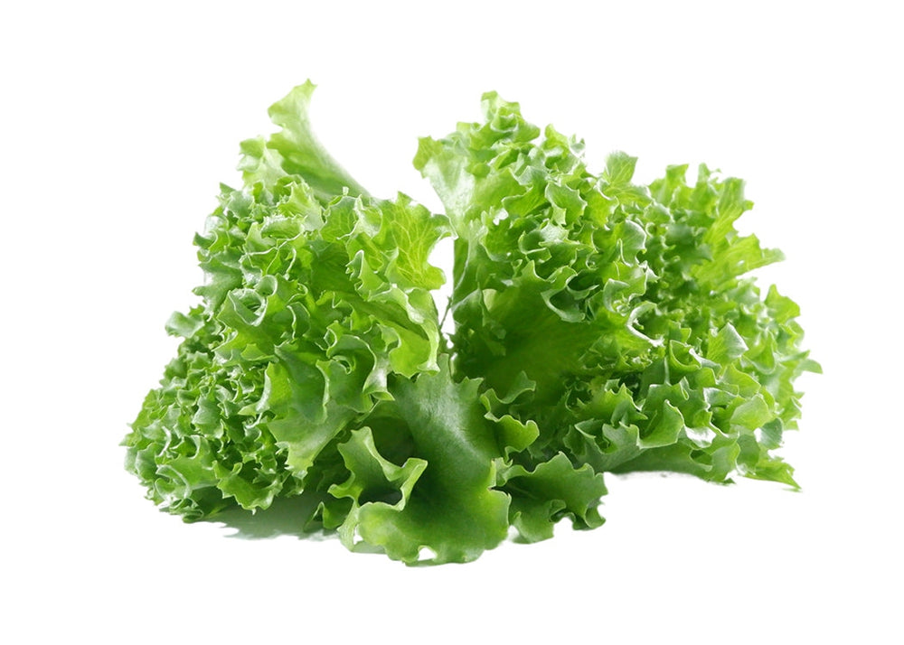 Buy Fresh Crystal Lettuce – Future Fresh