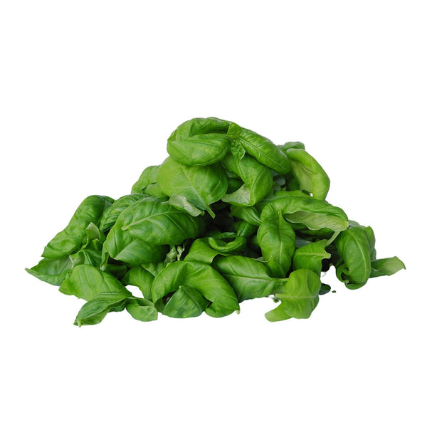 Buy Fresh Genovese Basil Future Fresh