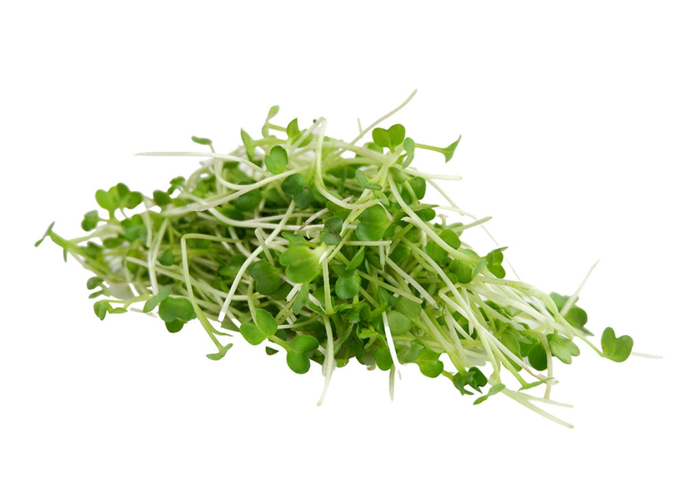 Buy Fresh Radish Microgreens – Future Fresh